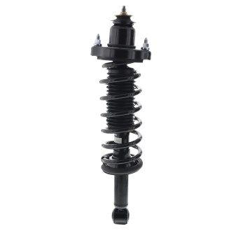 Suspension Strut and Coil Spring Assembly