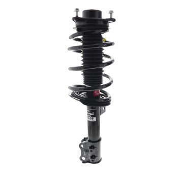 Suspension Strut and Coil Spring Assembly