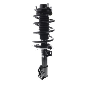 Suspension Strut and Coil Spring Assembly