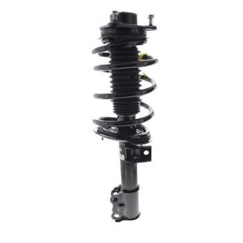 Suspension Strut and Coil Spring Assembly