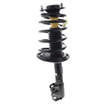 Suspension Strut and Coil Spring Assembly