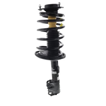 Suspension Strut and Coil Spring Assembly