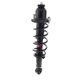 Suspension Strut and Coil Spring Assembly