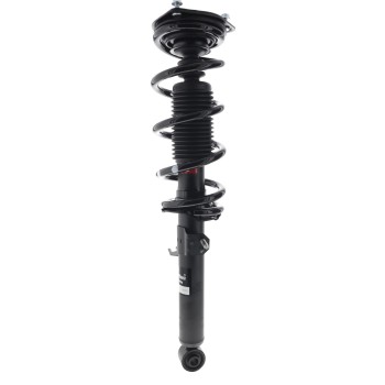 Suspension Strut and Coil Spring Assembly