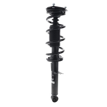 Suspension Strut and Coil Spring Assembly