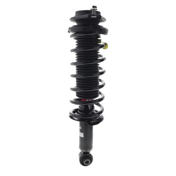 Suspension Strut and Coil Spring Assembly