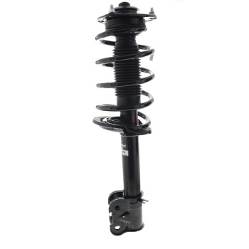 Suspension Strut and Coil Spring Assembly