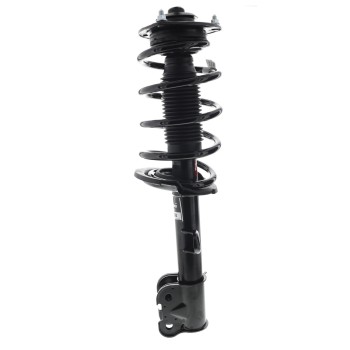 Suspension Strut and Coil Spring Assembly