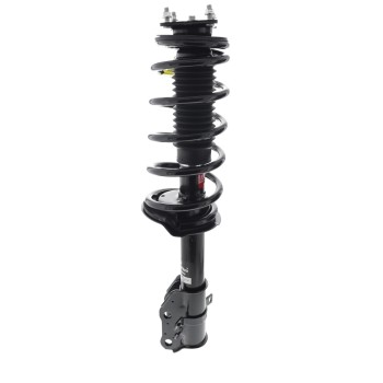 Suspension Strut and Coil Spring Assembly