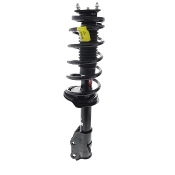 Suspension Strut and Coil Spring Assembly