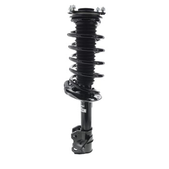 Suspension Strut and Coil Spring Assembly
