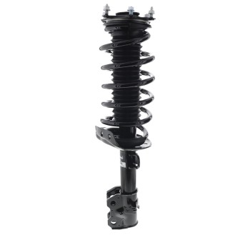 Suspension Strut and Coil Spring Assembly