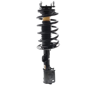 Suspension Strut and Coil Spring Assembly