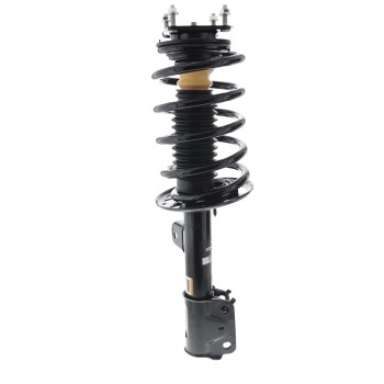 Suspension Strut and Coil Spring Assembly
