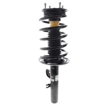 Suspension Strut and Coil Spring Assembly