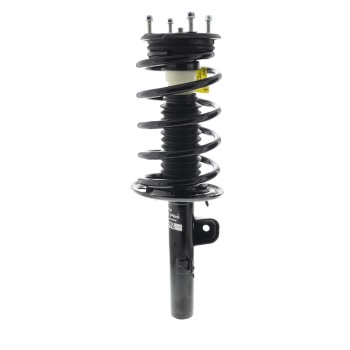 Suspension Strut and Coil Spring Assembly