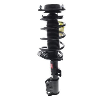Suspension Strut and Coil Spring Assembly