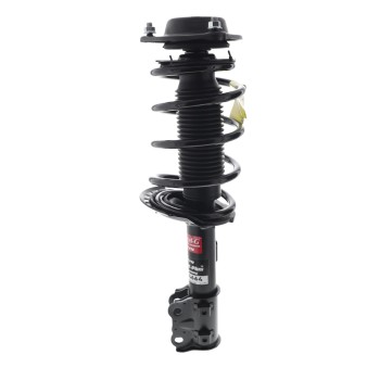 Suspension Strut and Coil Spring Assembly