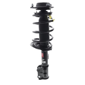Suspension Strut and Coil Spring Assembly