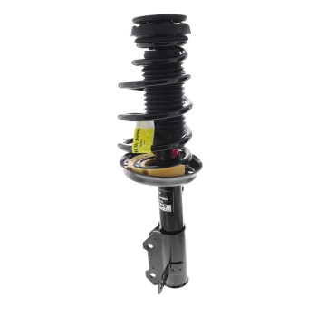 Suspension Strut and Coil Spring Assembly