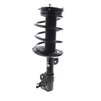 Suspension Strut and Coil Spring Assembly