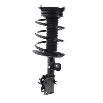 Suspension Strut and Coil Spring Assembly