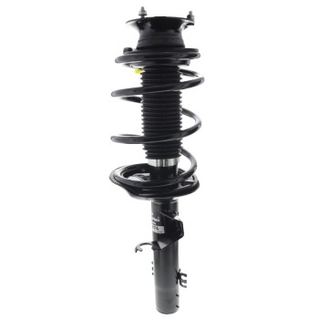 Suspension Strut and Coil Spring Assembly