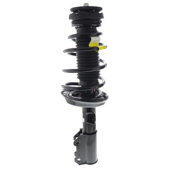 Suspension Strut and Coil Spring Assembly