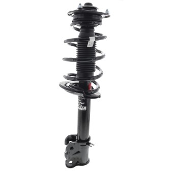 Suspension Strut and Coil Spring Assembly