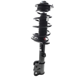 Suspension Strut and Coil Spring Assembly