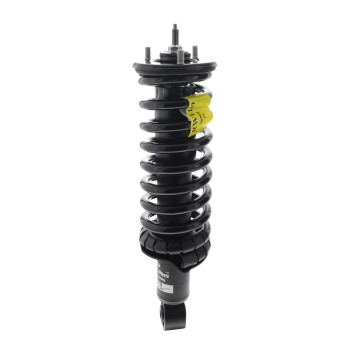 Suspension Strut and Coil Spring Assembly