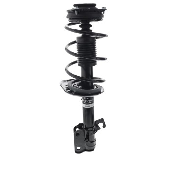 Suspension Strut and Coil Spring Assembly