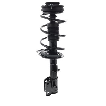 Suspension Strut and Coil Spring Assembly