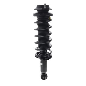 Suspension Strut and Coil Spring Assembly
