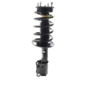 Suspension Strut and Coil Spring Assembly