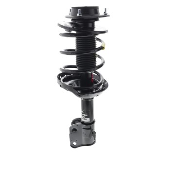 Suspension Strut and Coil Spring Assembly