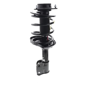 Suspension Strut and Coil Spring Assembly
