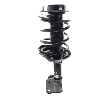 Suspension Strut and Coil Spring Assembly