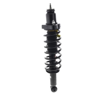 Suspension Strut and Coil Spring Assembly