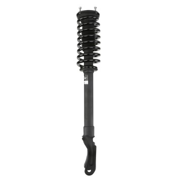 Suspension Strut and Coil Spring Assembly