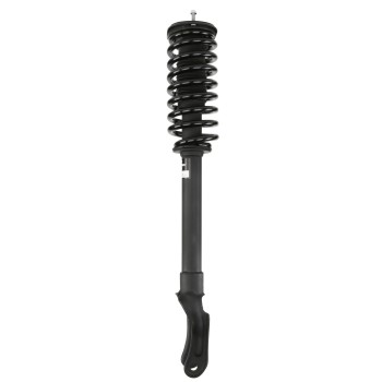 Suspension Strut and Coil Spring Assembly