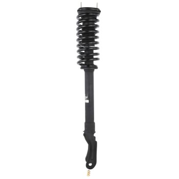 Suspension Strut and Coil Spring Assembly