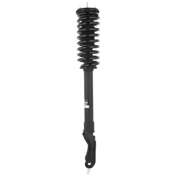 Suspension Strut and Coil Spring Assembly