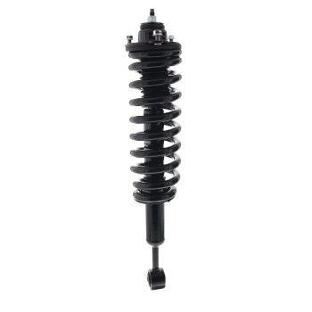 Suspension Strut and Coil Spring Assembly
