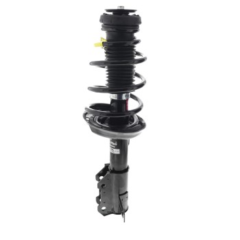 Suspension Strut and Coil Spring Assembly