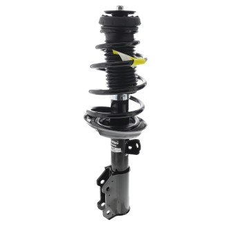 Suspension Strut and Coil Spring Assembly