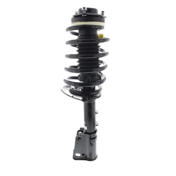Suspension Strut and Coil Spring Assembly