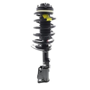 Suspension Strut and Coil Spring Assembly