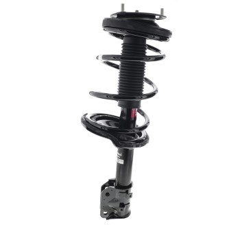 Suspension Strut and Coil Spring Assembly