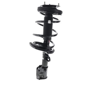 Suspension Strut and Coil Spring Assembly